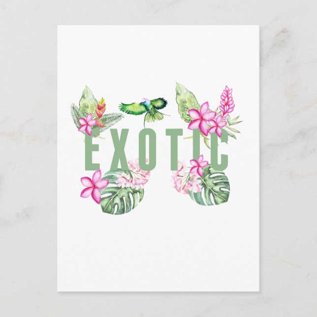 Exotic Postcard (Front)