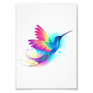 Exotic Rainbow Hummingbird Photo Print