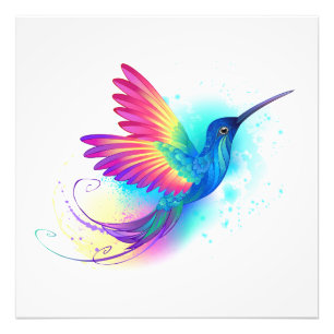 Exotic Rainbow Hummingbird Photo Print