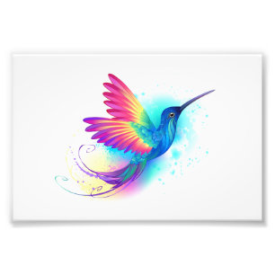Exotic Rainbow Hummingbird Photo Print