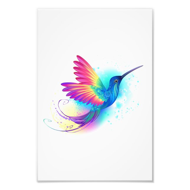 Exotic Rainbow Hummingbird Photo Print (Front)