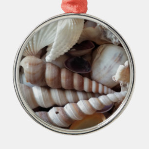 Exotic Seashells Collection, Summer Beach Metal Tree Decoration