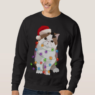 Exotic Shorthair Cat Christmas Lights Xmas Cat Lov Sweatshirt