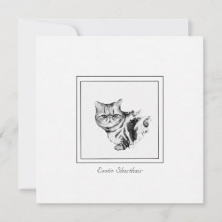 Exotic Shorthair Cat Flat Note Card