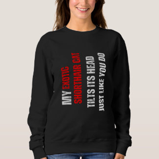 Exotic Shorthair cat my Exotic Shorthair cat tilts Sweatshirt