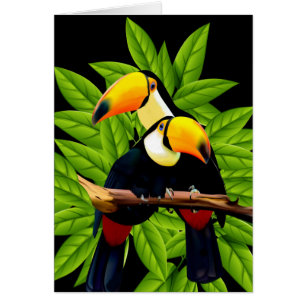 Exotic Toucans Note Cards