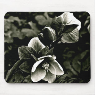 EXOTIC TREE FLOWERS IN BLACK AND WHITE MOUSE PAD