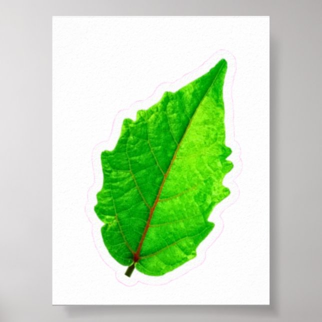 ​Exotic Tropical Green Leaf with Red Veins Macro P Poster (Front)