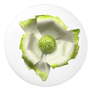 Exotic Tropical Green White Blossom Floral Flower Ceramic Knob