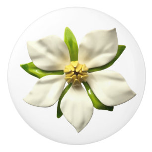 Exotic Tropical Magnolia Blossom Wedding Flower Ceramic Knob