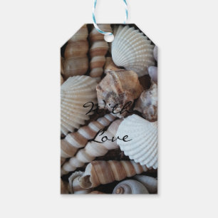 Exotic Tropical Summer Sea Shells Photography Gift Tags