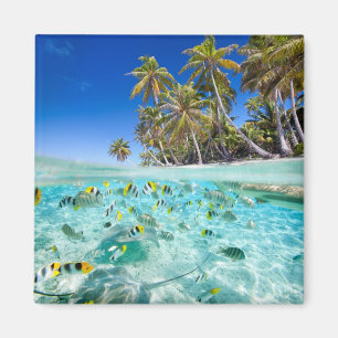 Exotic vacations magnet