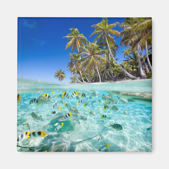 Exotic vacations magnet (Front)