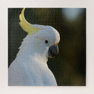 Exotic White Cockatoo Jigsaw Puzzle