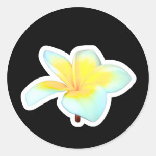 Exotic White Frangipani Flower Die-Cut Sticker, Ba Classic Round Sticker