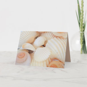 Exotic White Peach Sea Shells, Summer Beach Card