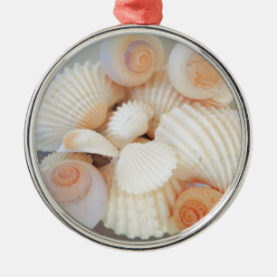 Exotic White Peach Sea Shells, Summer Beach Metal Tree Decoration