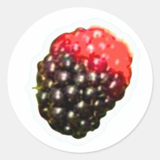 Exotic Wild Blackberry Sticker, Ripening Tropical Classic Round Sticker