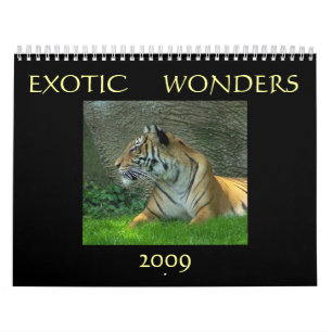 Exotic Wonders 2009 Calendar