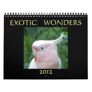 Exotic Wonders 2012 Calendar