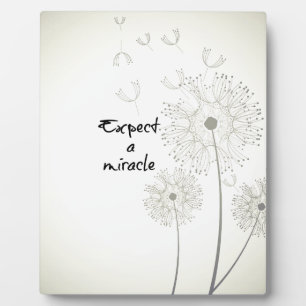 Expect a Miracle Inspirational Plaque