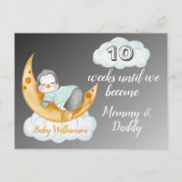 Expecting Parents Baby Countdown Penguin
