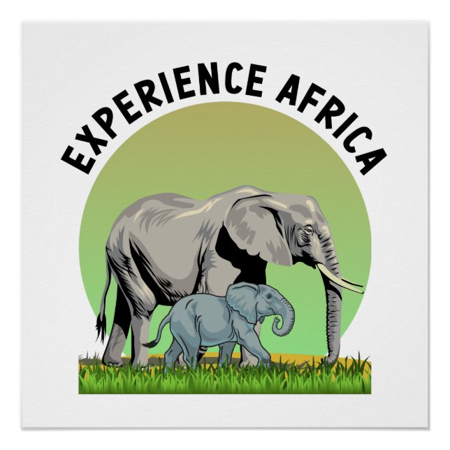 Experience Africa Poster (Front)