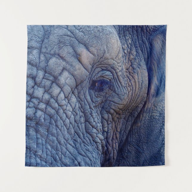 EXPERIENCE WALK WITH THE ELEPHANTS HOW ABOUT HUGGI TAPESTRY (Front)