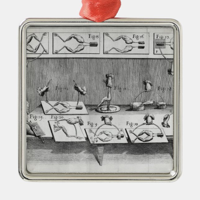 Experiment on frogs metal tree decoration (Front)