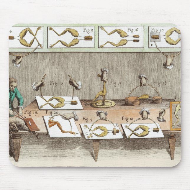 Experiment on frogs mouse pad (Front)