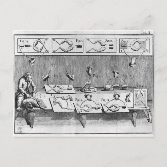 Experiment on frogs postcard (Front)