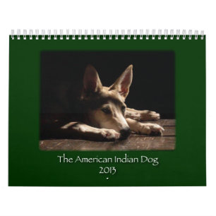 EXPIRED 2013 AID Calendar