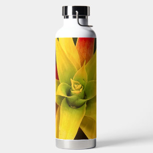 Exploding Star Water Bottle