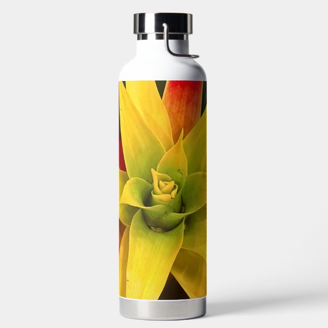 Exploding Star Water Bottle (Left)