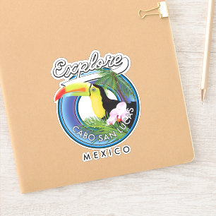explore cabo san lucas mexico travel patch