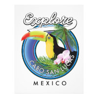 explore cabo san lucas mexico travel patch