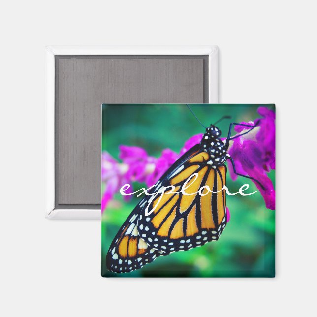 "Explore" quote orange monarch butterfly photo Magnet (Front/Back)