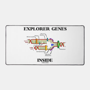 Explorer Genes Inside DNA Replication Desk Mat