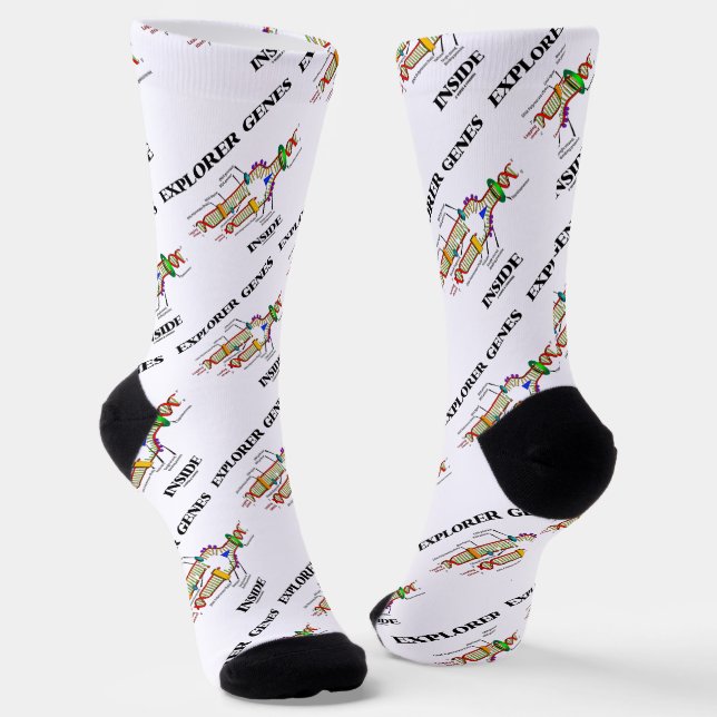 Explorer Genes Inside DNA Replication Socks (Angled)