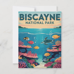 Exploring Biscayne National Park Florida Waters Postcard