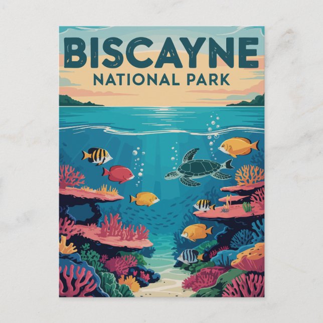 Exploring Biscayne National Park Florida Waters Postcard (Front)