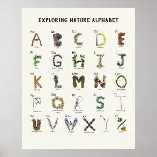 Exploring Nature Alphabet | Woodland ABC Nursery Poster