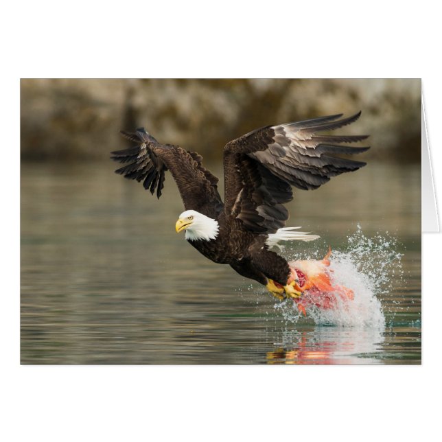 Explosive Bald Eagle (Front Horizontal)