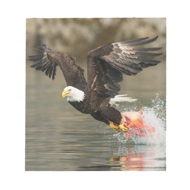 Explosive Bald Eagle Notepad (Front)
