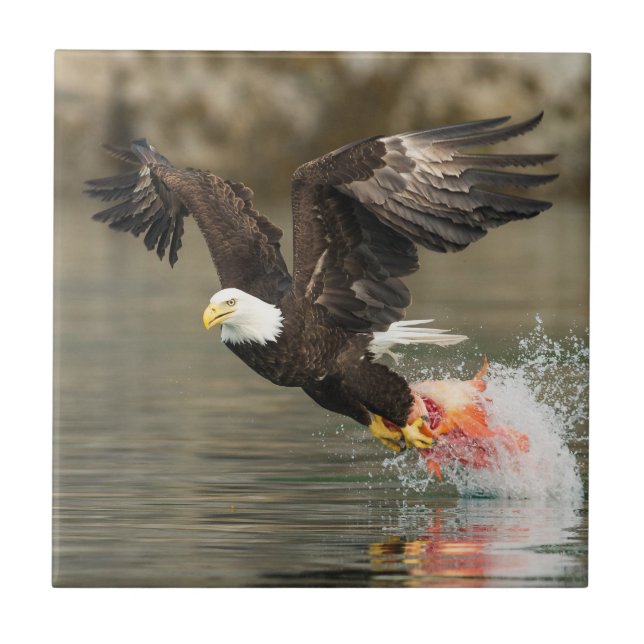Explosive Bald Eagle Tile (Front)
