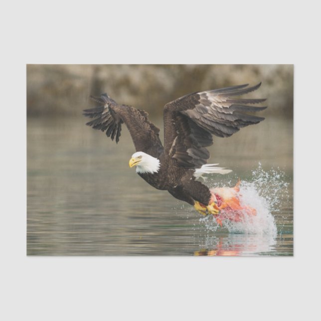 Explosive Bald Eagle Tissue Paper (Front)