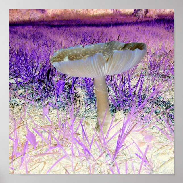 Exposed Effect Mushroom Poster (Front)