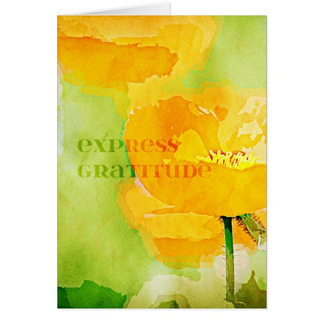 Express Gratitude Orange Poppy (Front)