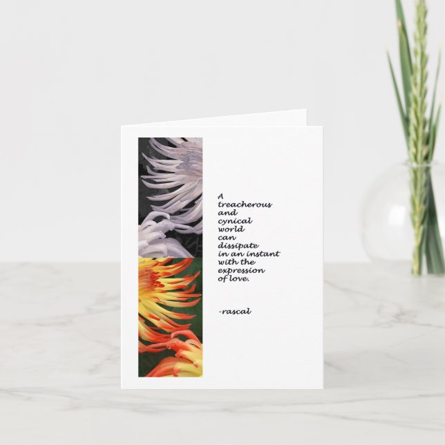 ExpressionofLove Holiday Card (Front)