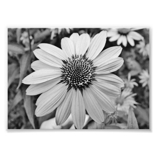 Expressions 5x7 Photographic Print (Front)